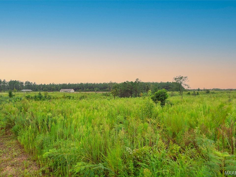 9/ACRE Highway 87, Samson, AL 36477 MLS 545875 Zillow