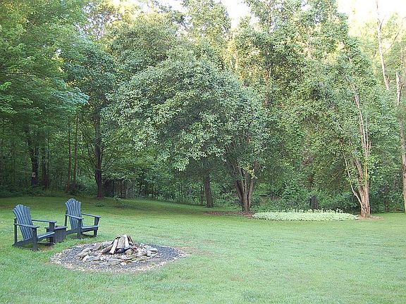 Back yard