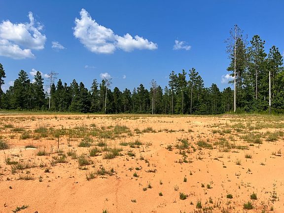 +/-5 Acre Leveled & Cleared Homesite Overlooking Pond