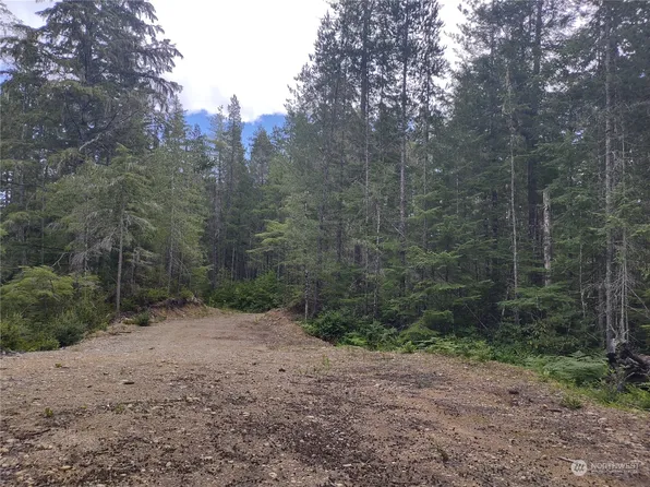 0 Bedrock Rd., Belfair, WA 98528