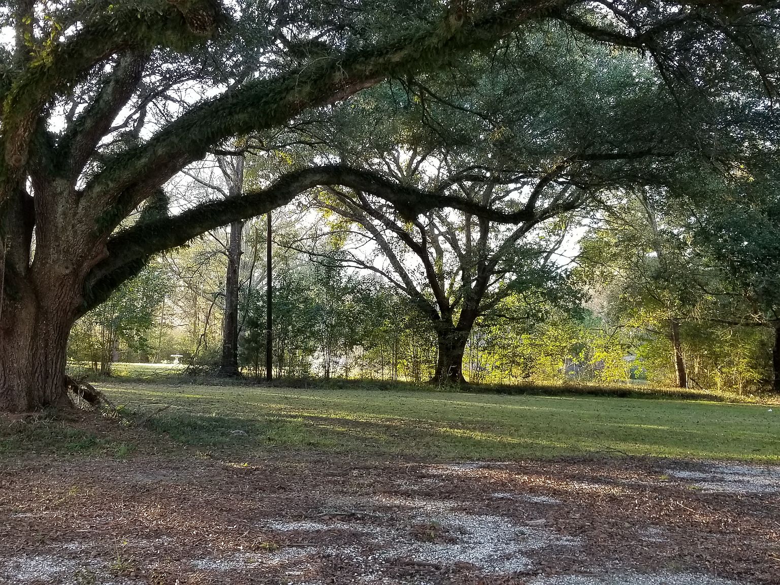 2677 Highway 114, Hessmer, LA 71341 Zillow