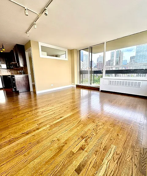 1360 N Sandburg Ter #1111 — Photo 14