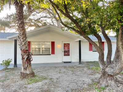 11205 Yew Tree Ave, Port Richey, FL, 34668