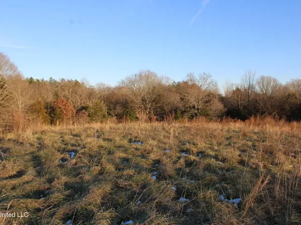 814 Watson Rd, Byhalia, MS 38611