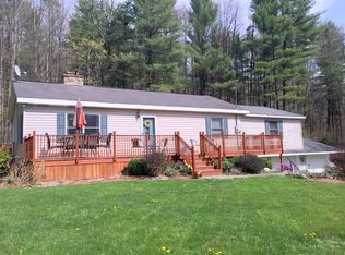 387 Honeypot Rd, Candor, NY 13743