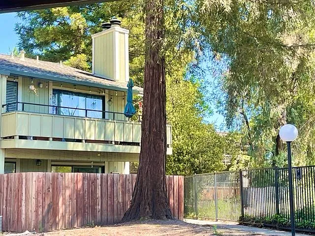 Private patio shaded by a beautiful mature tree, just beyond the fence.