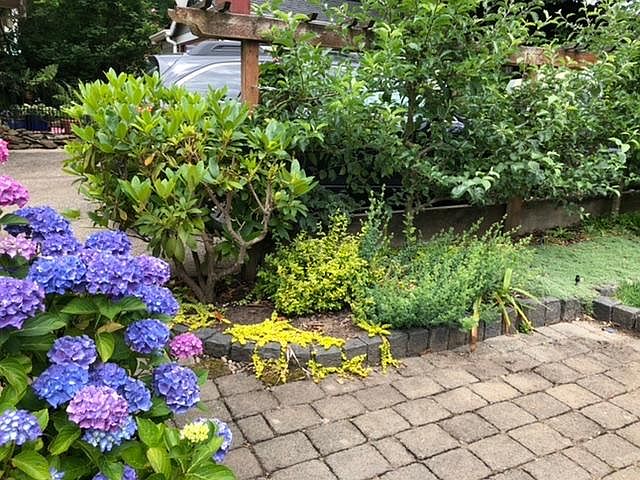 Backyard common area