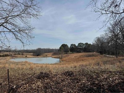 0 County Road 472, Piggott, AR, 72454