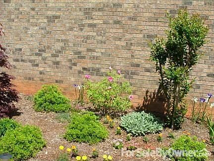 Front Flower Garden