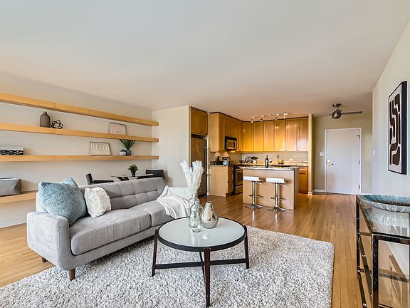 3rd image of 777 N Michigan Ave APT 2909