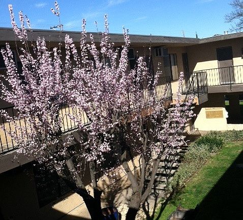 5th image of 124 E 13th St APT 3