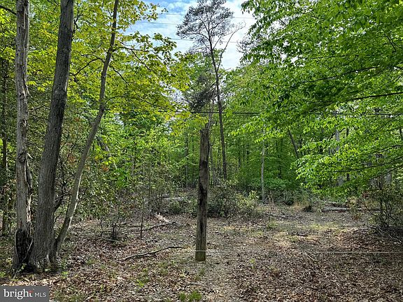 4th image of Old Marshall Hall Rd