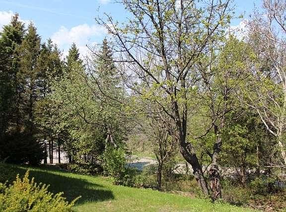 property view - front window