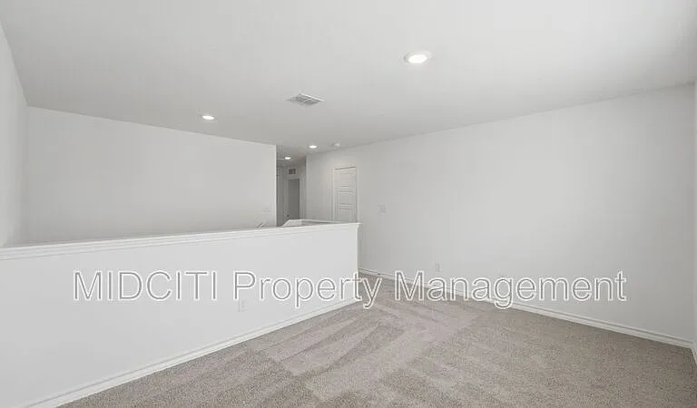 966 Bluegrass Point #NEW BRAUNFELS — Photo 26