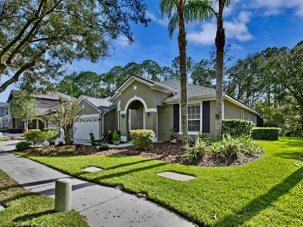 16132 Colchester Palms Dr, Tampa, FL 33647