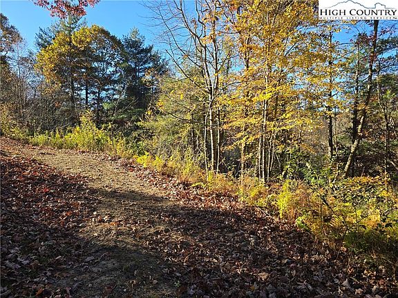 4th image of 474E Ray Miller Rd