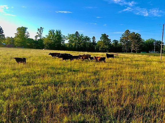 5th image of 62 County Road 789