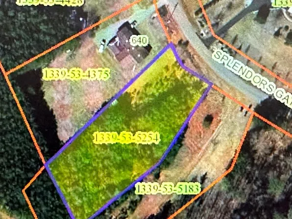 Splendors Gate Rd, Axton, VA 24054