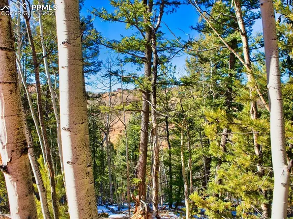 1034 Little Topsey Dr, Cripple Creek, CO 80813