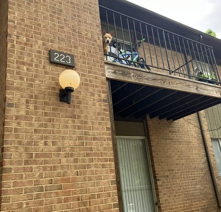 1st image of 223 Orchard Trace Ln APT 5