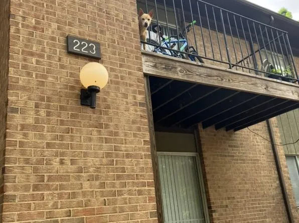 223 Orchard Trace Ln APT 5, Charlotte, NC 28213