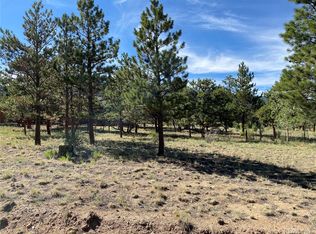 30681 West Rdg, Buena Vista, CO 81211