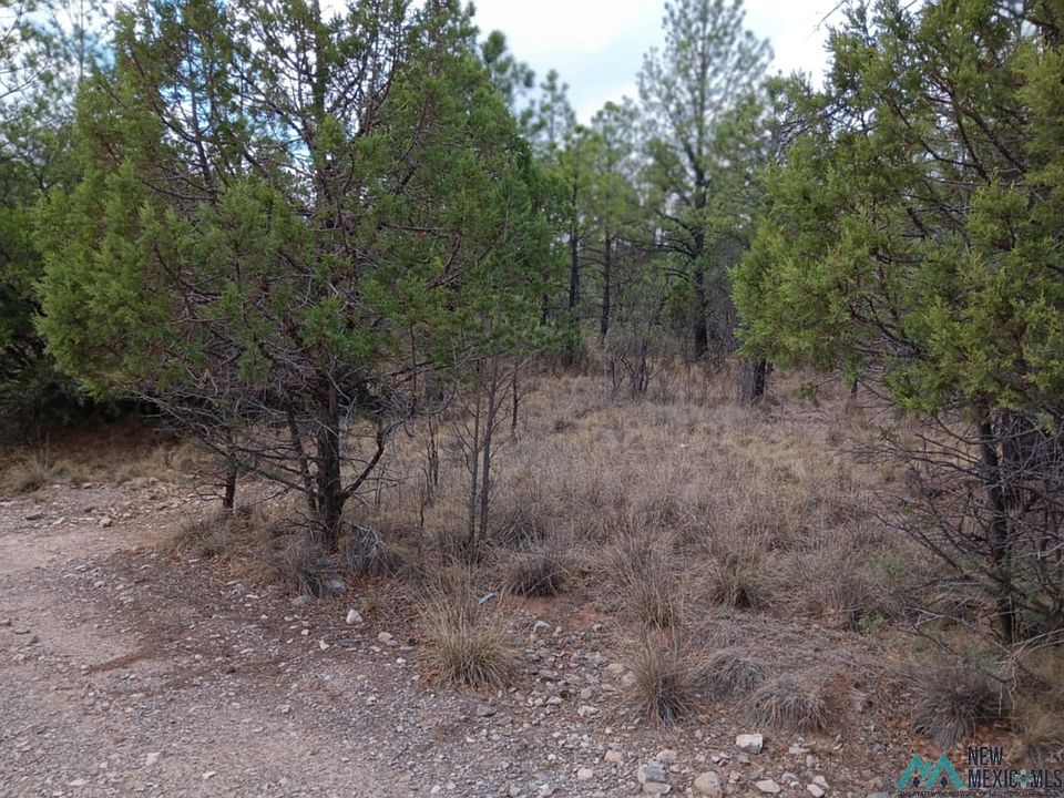 2nd image of 101 Arapaho