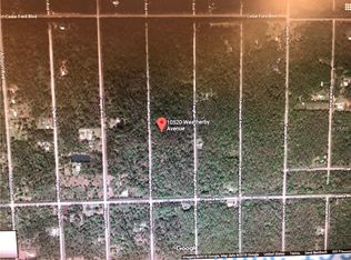 10520 Weatherby Ave, Hastings, FL 32145