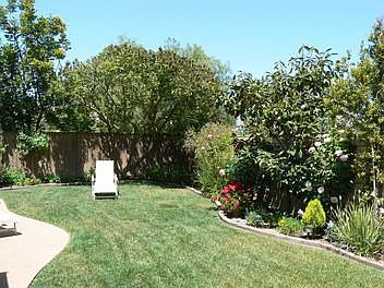 Another view of the backyard