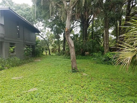5th image of 100 Palm Dr
