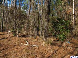 E Black Creek Rd, Florence, SC 29506