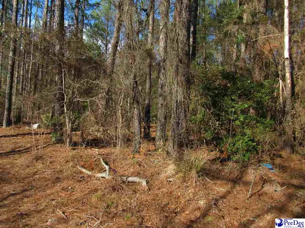 E Black Creek Rd, Florence, SC 29506