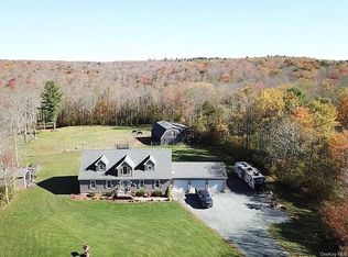 48 Skyline Dr, Livingston Manor, NY 12758