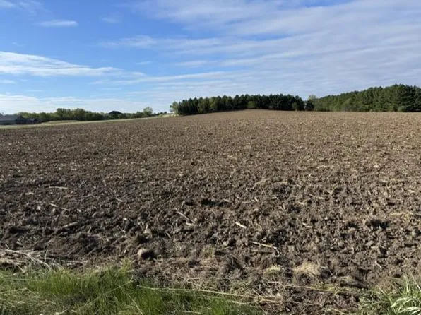Pine Bluff Site15 Rd NW, Pine Island, MN 55963