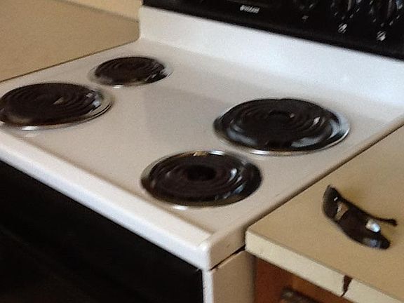 4th image of 215 Branchwood Cir