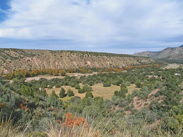 142 Catwalk Rd Parcel A, Glenwood, NM 88039