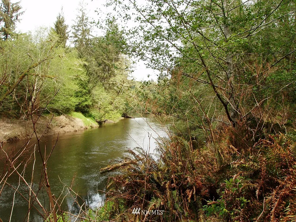 999 Quillayute Road photo 1