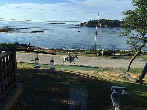 Horses walking on the island