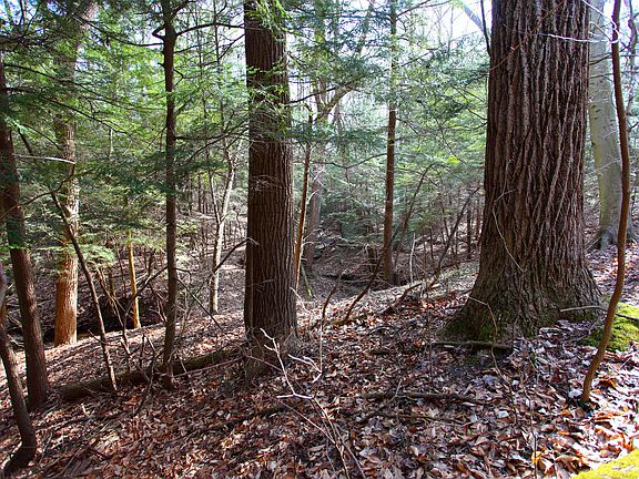 3rd image of 0 Hemlock Dr
