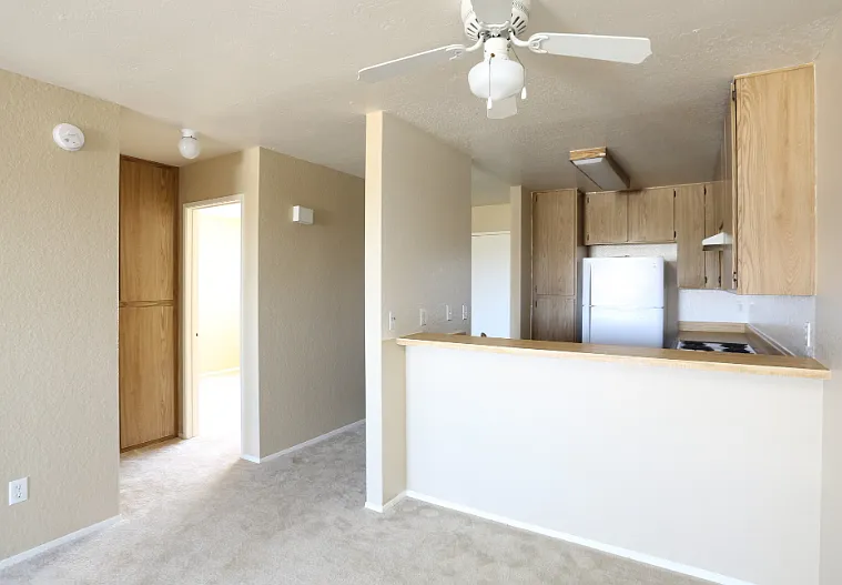 Sunset Terrace — Photo 11