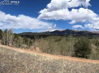 32 Dead Wood Rd, Cripple Creek, CO 80813