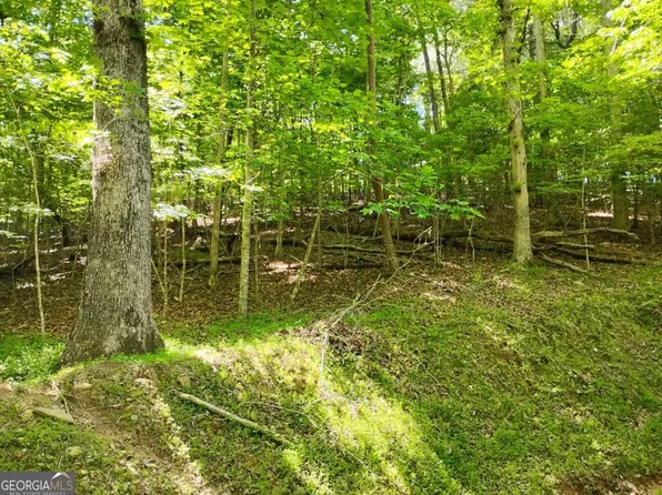 0 Gladstone Ct #967-968, Ellijay, GA 30540