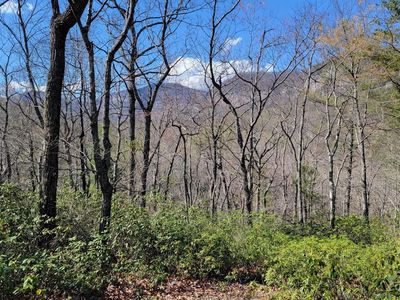 0 Garden Ln LOT 31, Lake Lure, NC, 28746