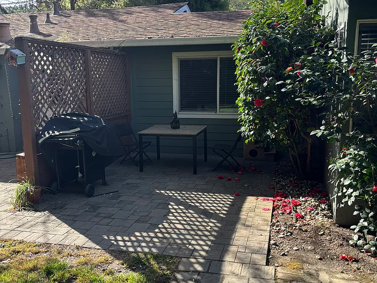 Outdoor BBQ and seating