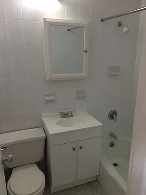 Rented by Eric Goodman Realty Corp | media 15