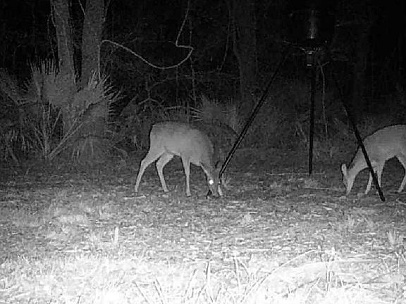 3rd image of 2112 Highway 1252