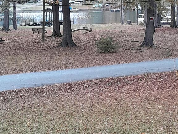 5th image of 118 Coldwater Dr