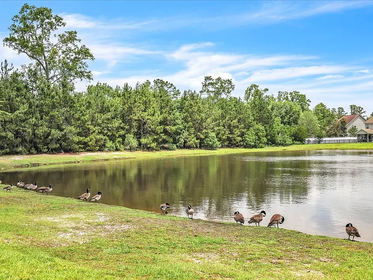 256 Savannah Ln — Photo 39