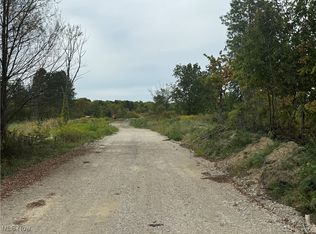 Spieth Rd, Medina, OH 44256