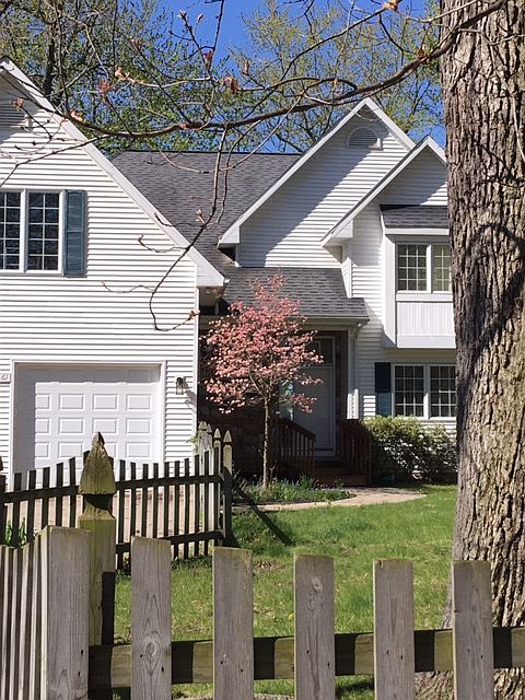 View from Lake Drive